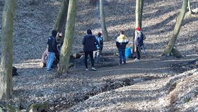 Za opékání buřtů tři miliony pokuta! Omladinu, která se sešla v lese u táboráku, nahlásili policii