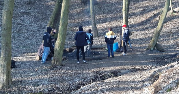 Za opékání buřtů tři miliony pokuta! Omladinu, která se sešla v lese u táboráku, nahlásili policii