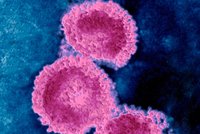 V Evropě zabíjí nový vir, který se šíří z Arábie