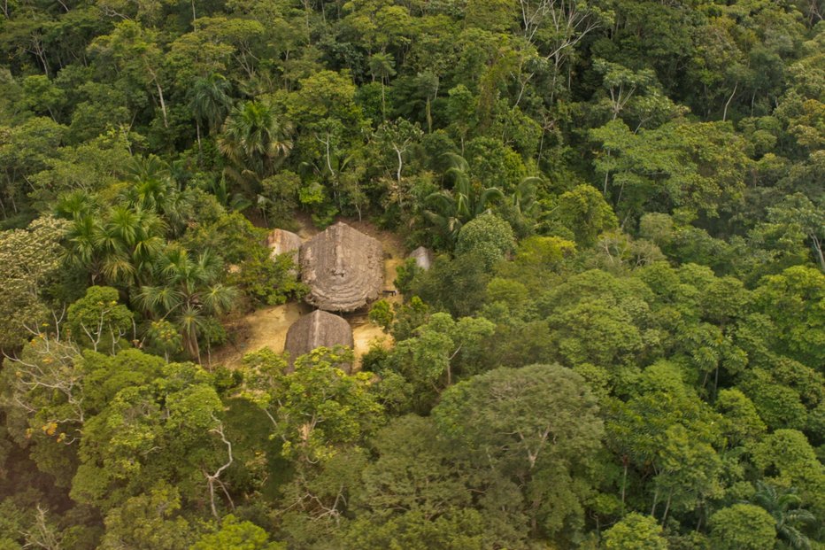 Přeměna amazonského pralesa na savanu může nastat v případě, že úhrn srážek bude dál klesat.