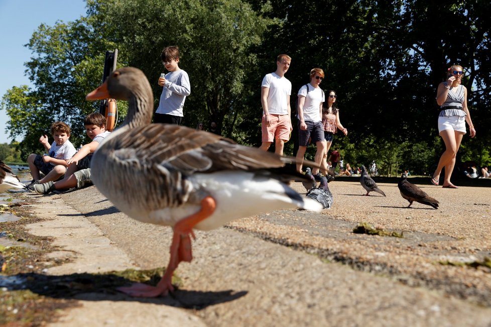 Britové si užívají rozvolnění opatření (30. 5. 2020)