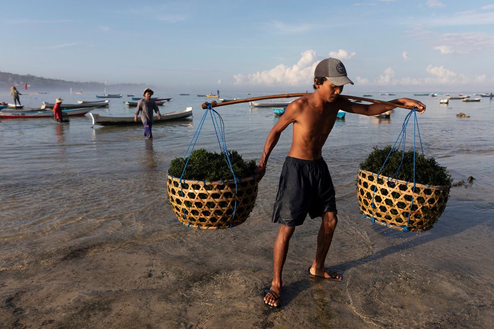 Koronavirus na Bali: Místní živoří, kvůli nedostatku turistů museli začít farmařit a rybařit.