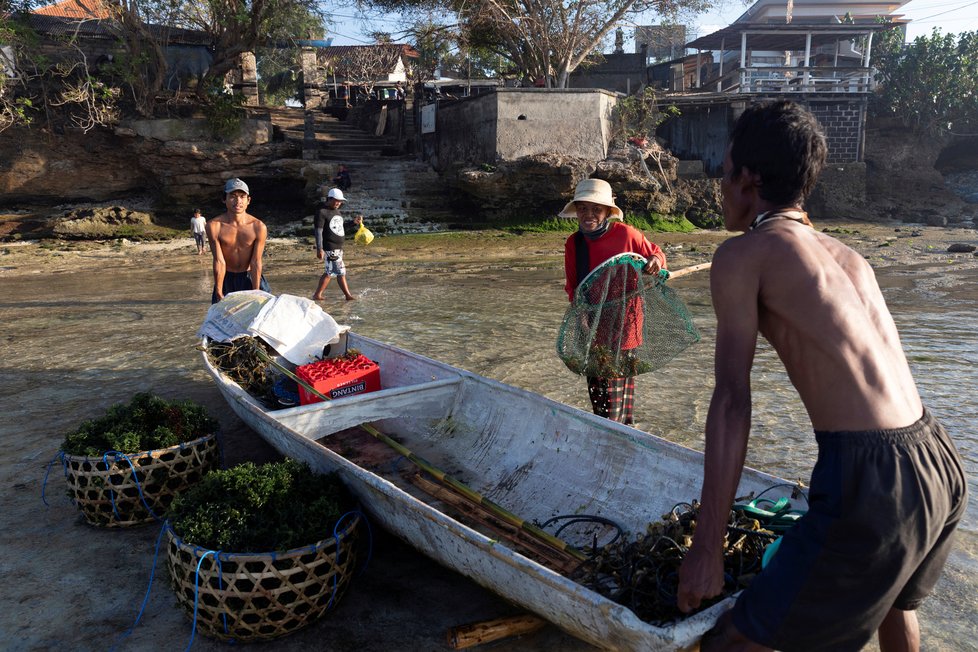 Koronavirus na Bali: Místní živoří, kvůli nedostatku turistů museli začít farmařit a rybařit.