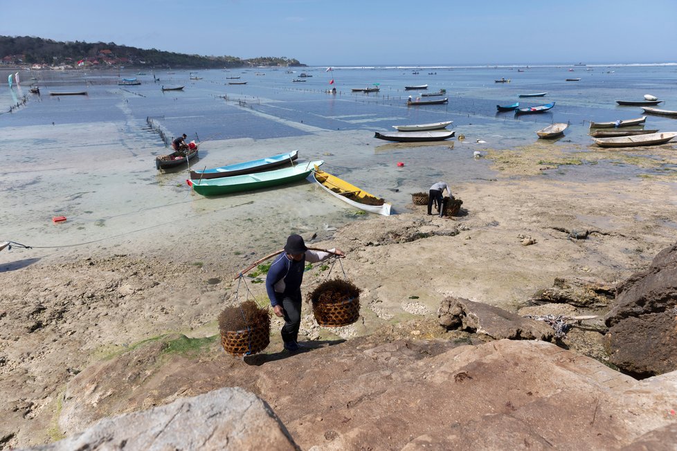 Koronavirus na Bali: Místní živoří, kvůli nedostatku turistů museli začít farmařit a rybařit.