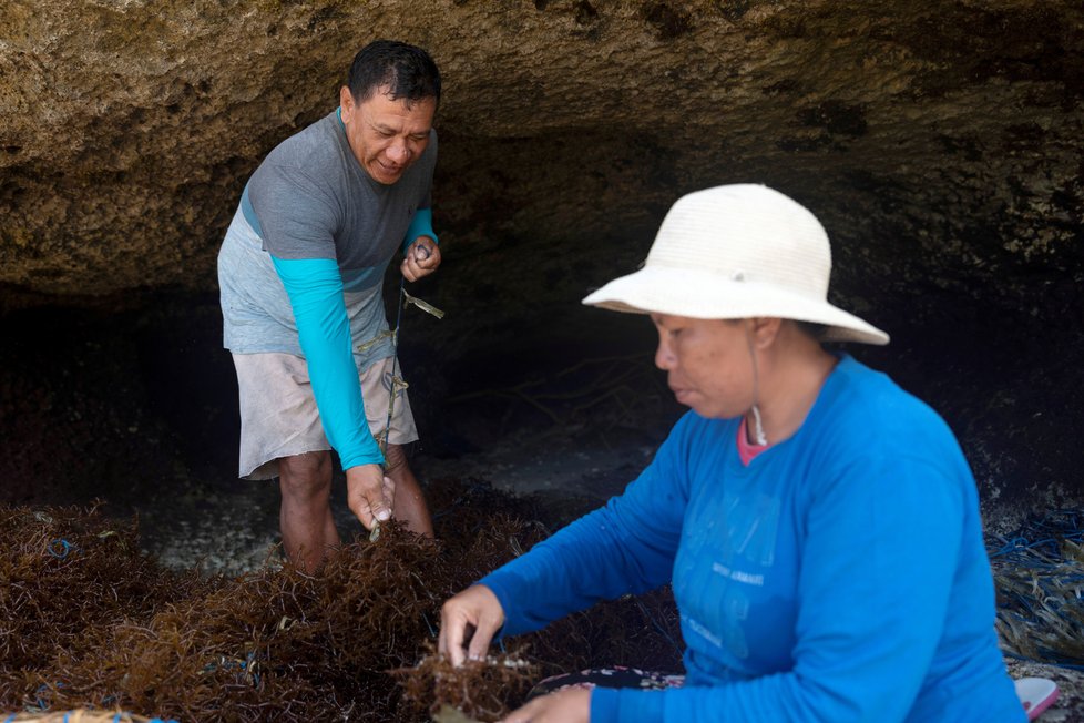 Koronavirus na Bali: Místní živoří, kvůli nedostatku turistů museli začít farmařit a rybařit.