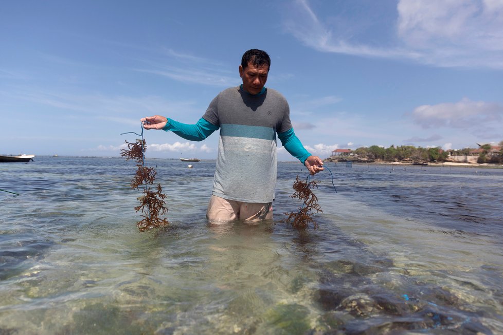 Koronavirus na Bali: Místní živoří, kvůli nedostatku turistů museli začít farmařit a rybařit.