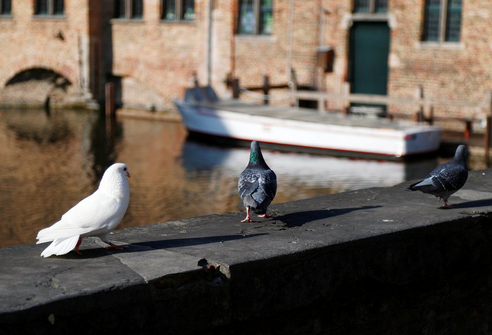 Turisty oblíbená Belgie kvůli koronaviru zeje prázdnotou, (22.04.2020).