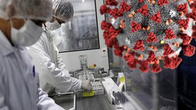 Experti z předních univerzit USA napadli tvrzení WHO, podle nich nelze vyloučit, že koronavirus unikl z wuchanské laboratoře
