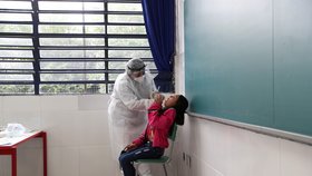 Testování na koronavirus v Brazílii.