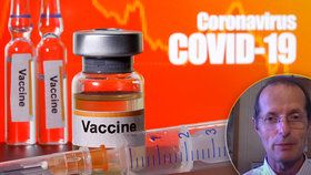 Vakcína bude připravená do roka, pokud budou úspěšné testy na lidech, slíbil přední britský vědec Robin Shattock.