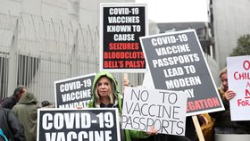 Britové protestují proti povinnému očkování
