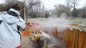 Pracovníci specializované firmy dezinfikovali horkou párou dětské hřiště v Tyršově sadu u Botanické ulice v Brně.