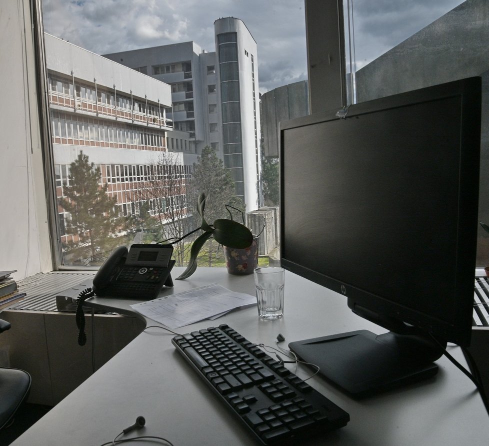 Fakultní nemocnici Brno postihl 13. března 2020 kybernetický útok a vyřadil z provozu všechny počítače.
