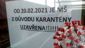 Jihoafrická mutace koronaviru uzavřela do karantény mateřskou školu v Brně-Líšni.