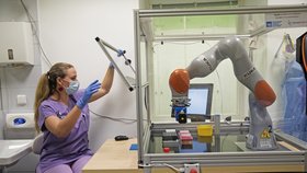 Robot Pipeťák pomáhá laborantům z Bulovky
