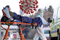 Převozy pacientů do Německa jsou na spadnutí, tvrdí Petříček. Pomoc nabízí i Švýcarsko