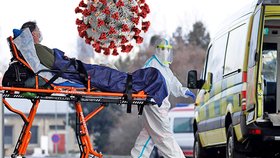 Převozy pacientů do Německa jsou na spadnutí, tvrdí Petříček. Pomoc nabízí i Švýcarsko