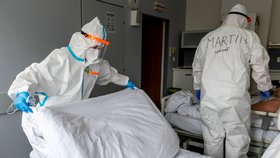 Zdravotníci pečují o pacienty s koronavirem, pro něž má Podřipská nemocnice s poliklinikou v Roudnici nad Labem vyčleněných 20 standardních lůžek (11. 3. 2021).