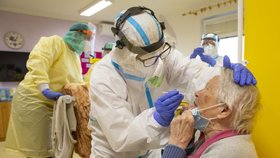 Koronavirus v Česku: Testování