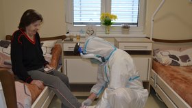 Koronavirus v Česku: V domovech pro seniory platila přísná protiepidemická opatření.
