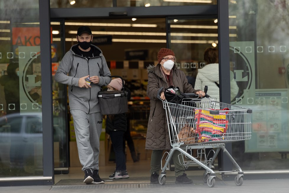 Koronavirus v ČR: Nákupy během pandemie covid-19 (listopad 2020)