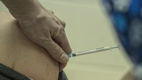 Koronavirus v Česku: Očkování v Libereckém kraji
