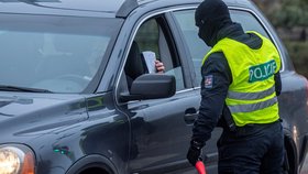 Koronavirus v Česku: Policejní kontrola dodržování zákazu a omezení volného pohybu (1.3.2021)