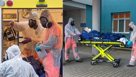 V nemocnici v polské Ratiboři zemřela pacientka, která tam byla minulé úterý převezena ve vážném stavu s nemocí covid-19 z Orlickoústecké nemocnice.