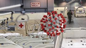 Vojáci dostavili polní nemocnici v Letňanech, disponuje 500 lůžky.