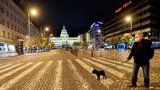 Omezení v Praze: Noční venčení psů jen na 500 metrů. Dětská hřiště zůstanou otevřená