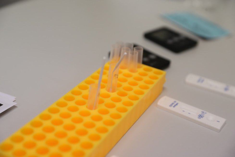 Antigenní testování v Česku (16. 12. 2020)
