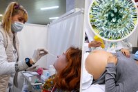 První případ „flurony“: Těhotná pacientka je pozitivní na koronavirus i chřipku, hlásí Izrael