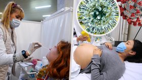 První případ „flurony“: Těhotná pacientka je pozitivní na koronavirus i chřipku, hlásí Izrael