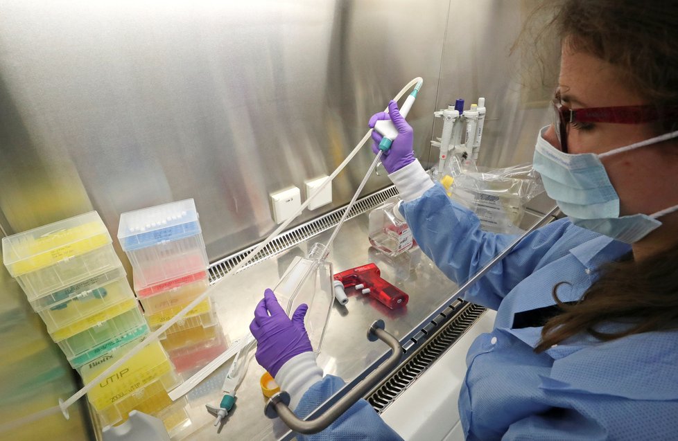 Hledání léku na koronavirus: Výzkum v laboratořích v belgickém Leuvenu