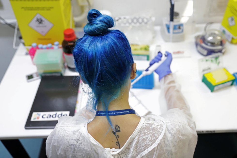 Ke zkoumání nového koronaviru dochází i v brazilském Sao Paolu v tamních laboratořích. (3.3.2020)