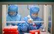 Detekce koronaviru v zařízení v čínském Taizhou (29.1.2020)