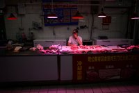 Nový „pacienta nula“ se nakazil při nákupu lososa. Číňany svírá strach z evropských ryb