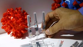 Vakcína proti koronaviru bude účinná i proti všem jeho mutacím, shodli se vědci