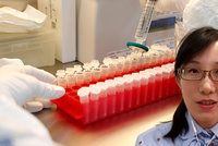 Čínská viroložka vyšetřovala koronavirus. Ve strachu o život utekla do USA
