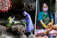Číňané maří pátrání po původu covidu. Experti nedostali „vstupenku“ do netopýřích jeskyní