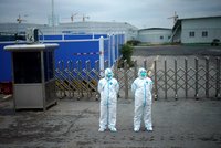 Pátrání po původci koronaviru se zastavilo, vzkázali experti WHO. Čína odmítla dát data