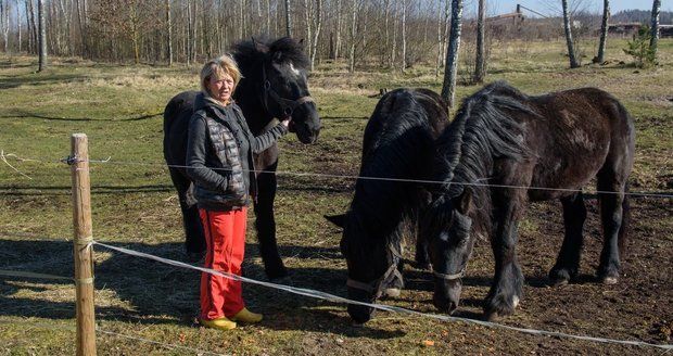 Český cirkus kvůli koronaviru uvázl bez peněz v Lotyšsku: Místní se o zvířata i majitele postarali