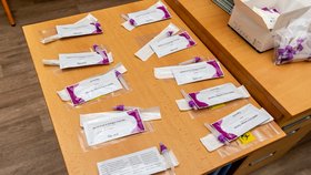 Žáci Fakultní základní školy Ústí nad Labem se testovali antigenními testy na zjištění případného onemocnění covid-19 (6. 1. 2022)