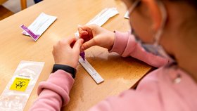 Žáci Fakultní základní školy Ústí nad Labem se testovali antigenními testy na zjištění případného onemocnění covid-19 (6. 1. 2022).