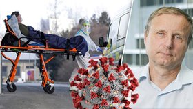 Imunolog Hořejší: Hrozí kolaps a politici se hádají o hloupostech. Čím hrozí mutace z JAR?