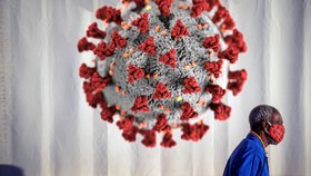 Nová varianta koronaviru v JAR budí i obavy expertů. Čím lidem hrozí?