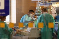 Omikron plní nemocnice v Česku. Denně přijmou stovky pacientů, dominují senioři