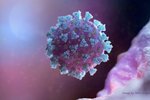 Rok od konce pandemie covidu-19, která zabila miliony lidí: Chystá se nová úmluva! Má napravit nedostatky 
