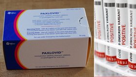 Paxlovid je dostupný i v Česku.