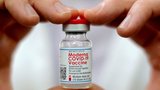 Česko už vyhodilo přes 7 milionů dávek vakcín proti covidu. Očkování netáhne, výrobci tratí